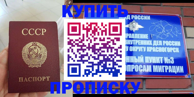 временная регистрация купить в Череповце